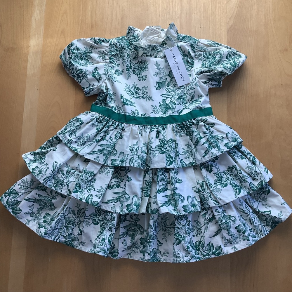 NWT JANIE AND JACK FLORAL TOILE DRESS GREEN WHITE 2T - Picture 2 of 8